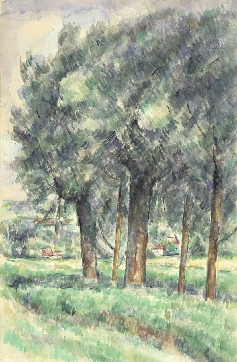 Gruppo di alberi, 1877-80 da Paul Cézanne