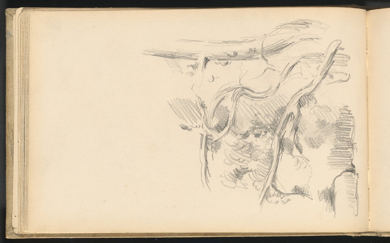 Pino da Paul Cézanne