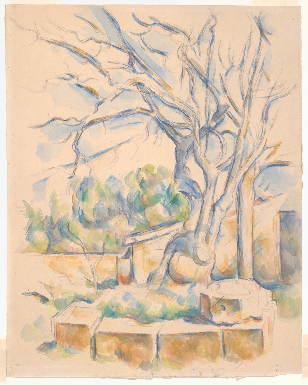Albero di pistacchio a Château Noir da Paul Cézanne