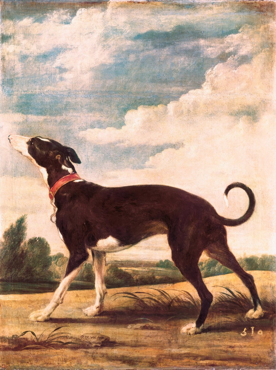Un lievito da Paul De Vos