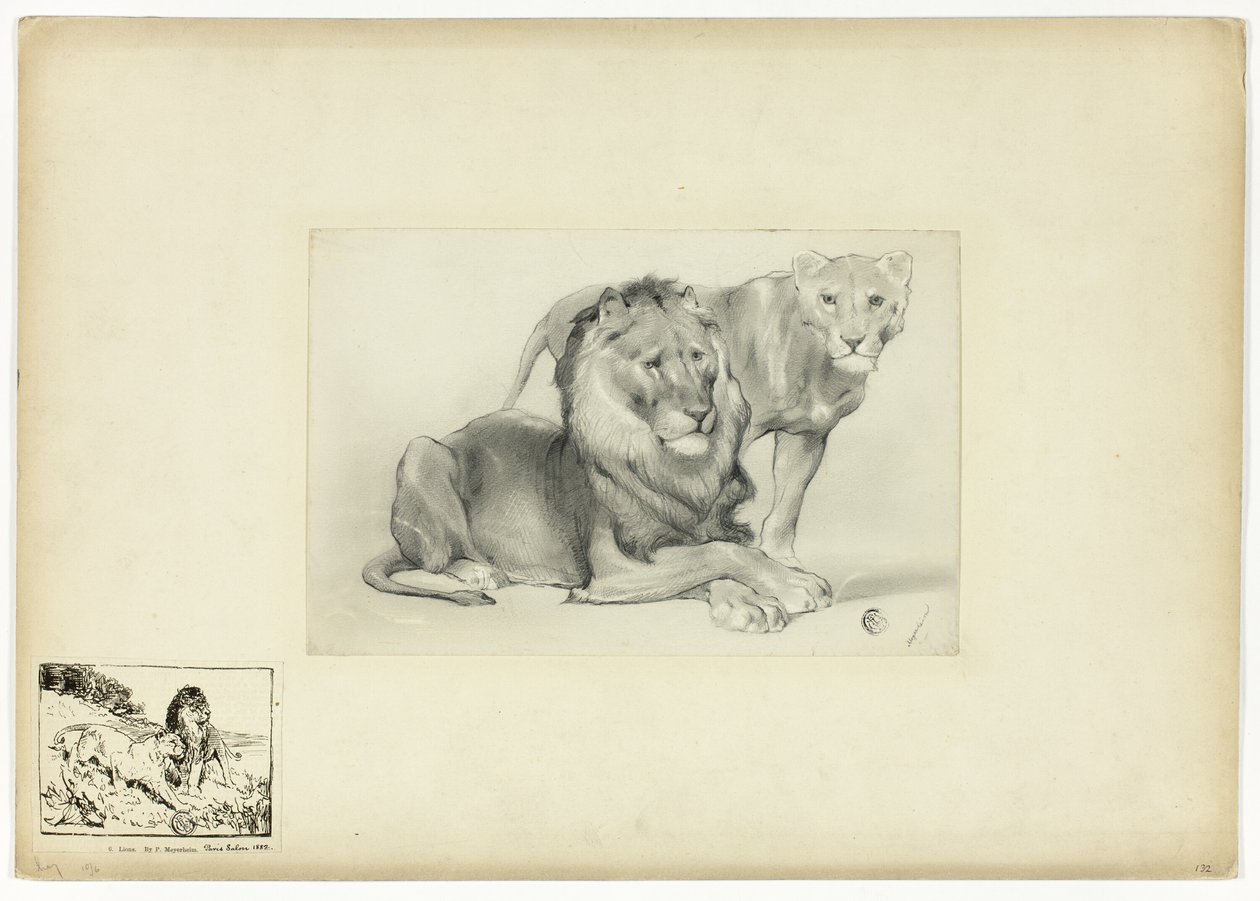 Leone e Leonessa da Paul Friedrich Meyerheim