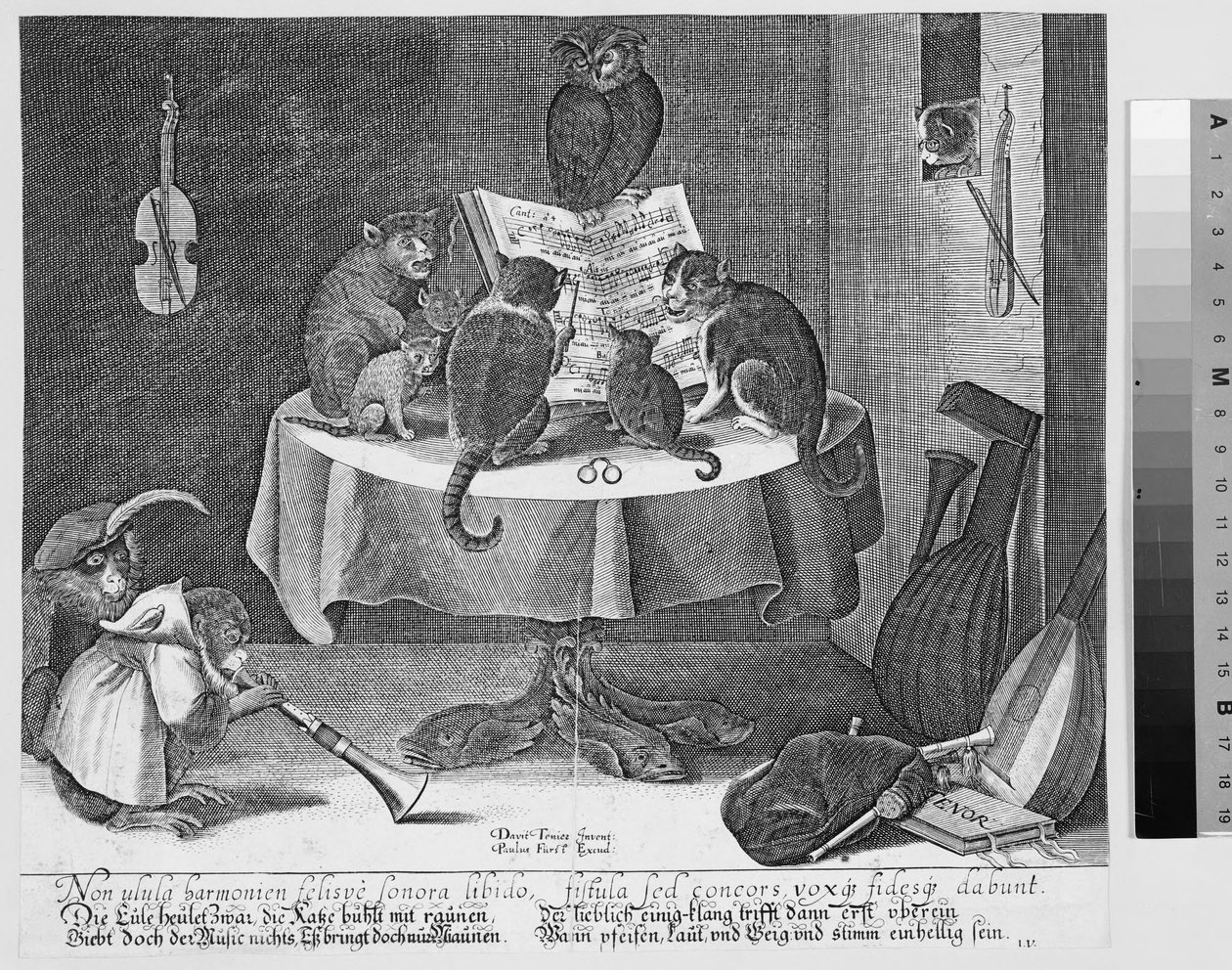 Concerto di gufo, gatti e scimmie da Paul Fürst