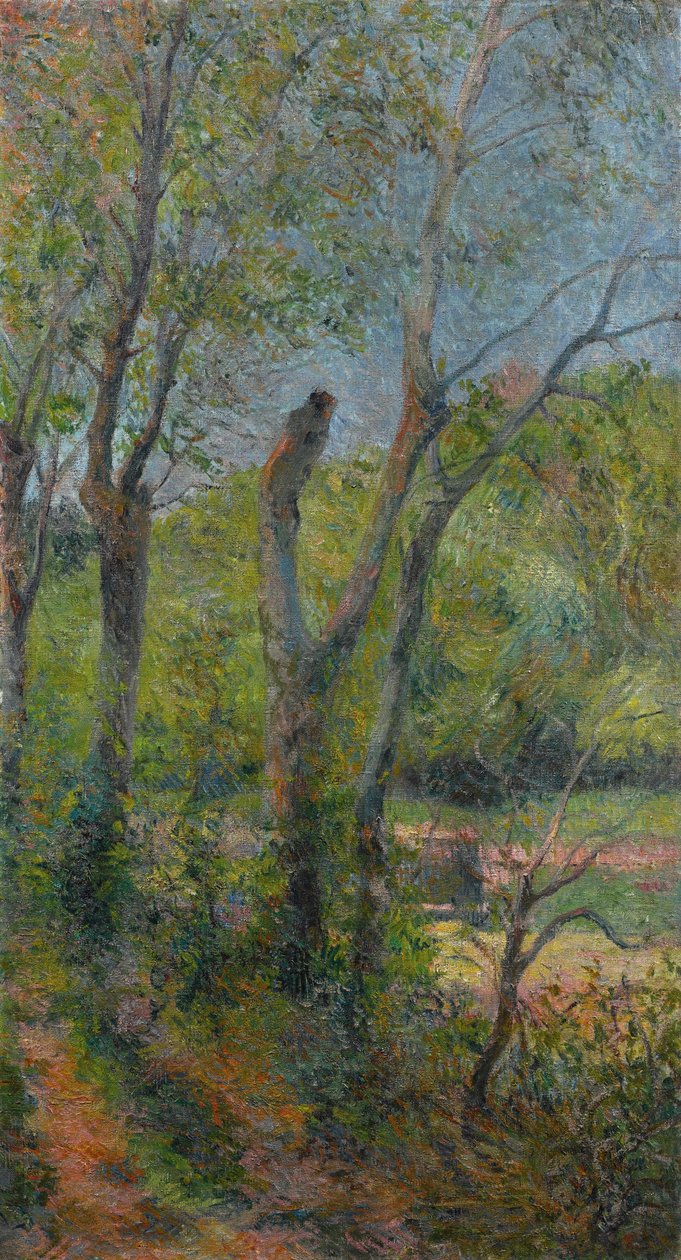 Francese:  Salici di Saules da Paul Gauguin