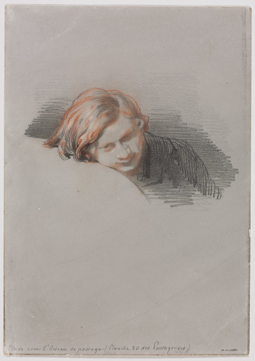 Testa di un giovane uomo (Studio per L