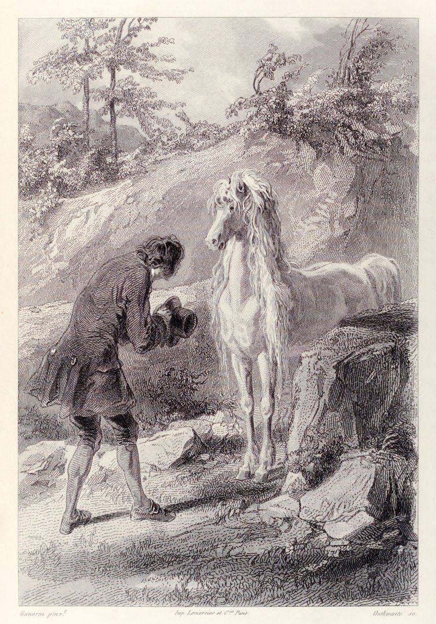Il cavallo si fermò e mi fissò, dall