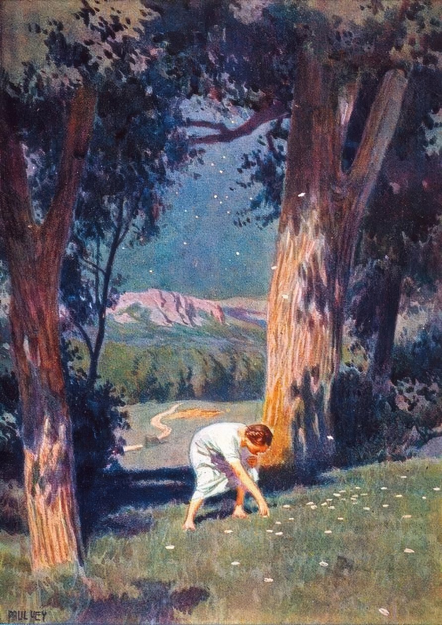 Il denaro delle stelle da Paul Hey