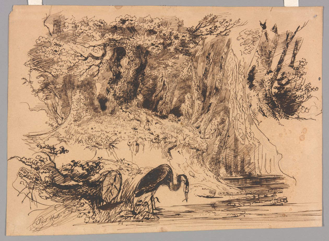 Piscina nella foresta con airone da Paul Huet