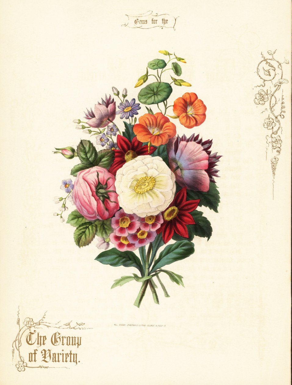 Bouquet di rosa bianca, dalia, nasturzio, auricola da Paul Jerrard