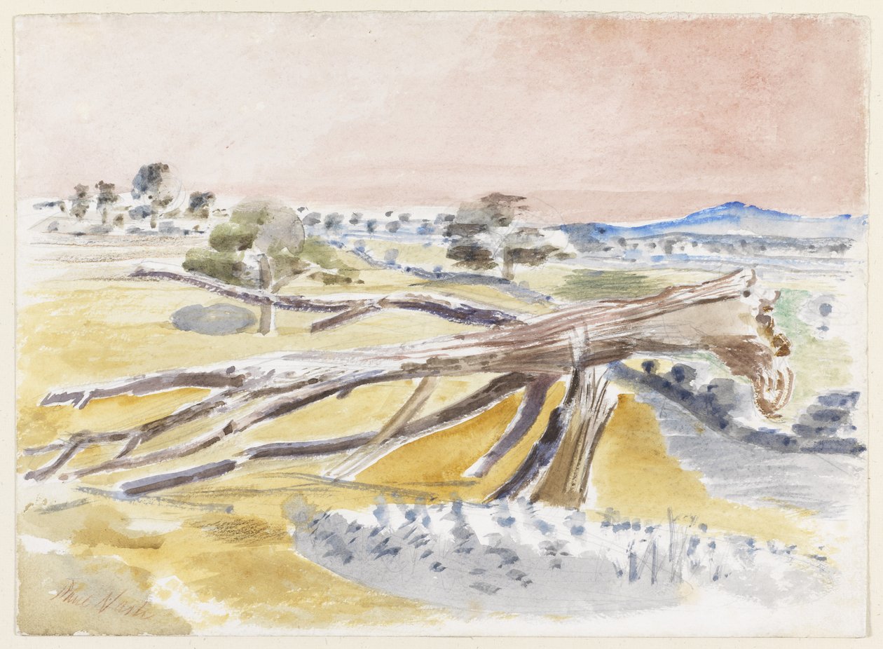 Campo di mostri, Studio II da Paul Nash