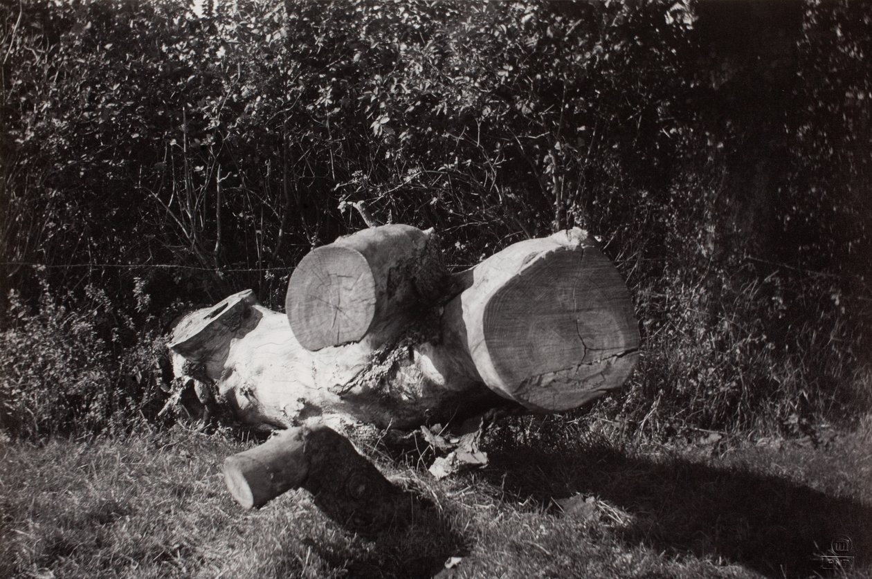 Trovare un oggetto da Paul Nash