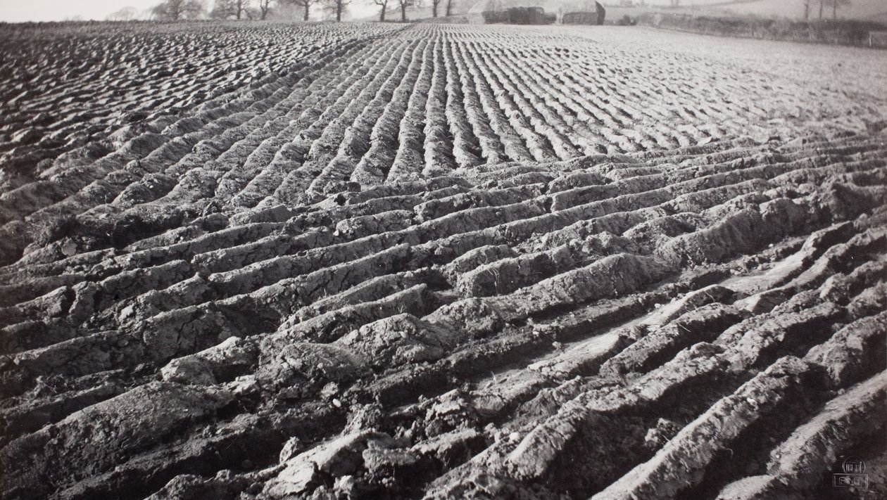 Campo arato e pagliaio da Paul Nash
