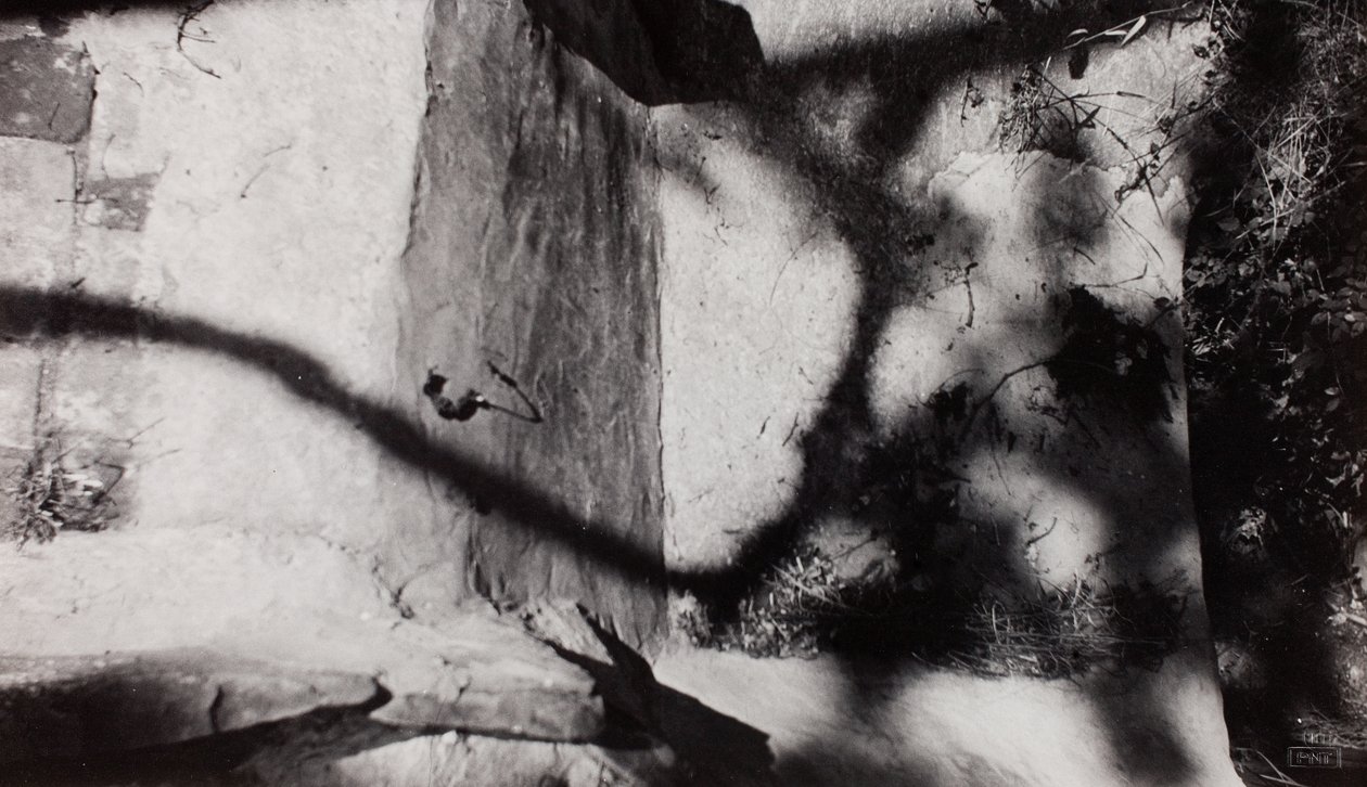 Step Edge; sotto il giardino di Nash a New House, Rye, Sussex da Paul Nash