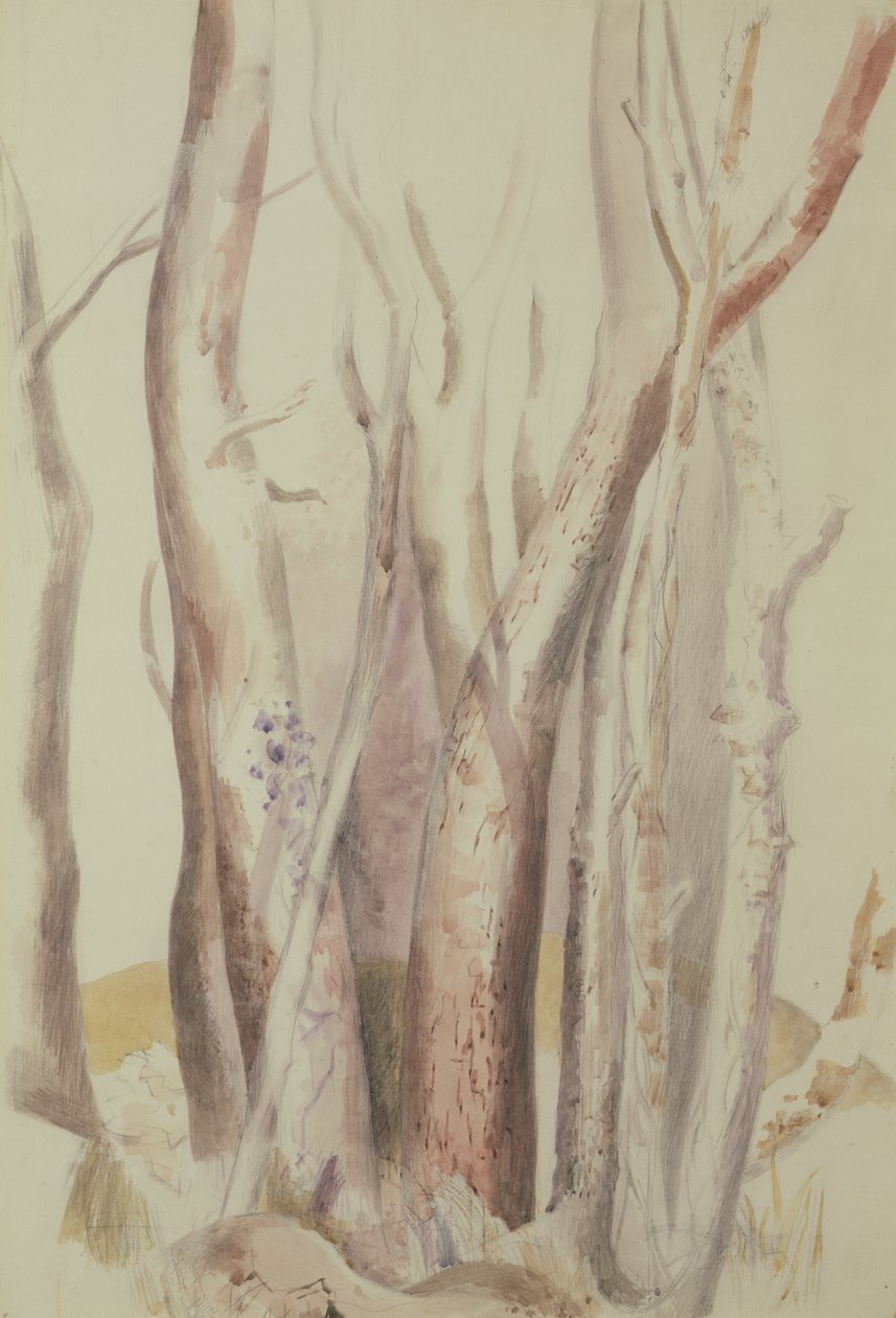 Studio di un paesaggio boscoso da Paul Nash