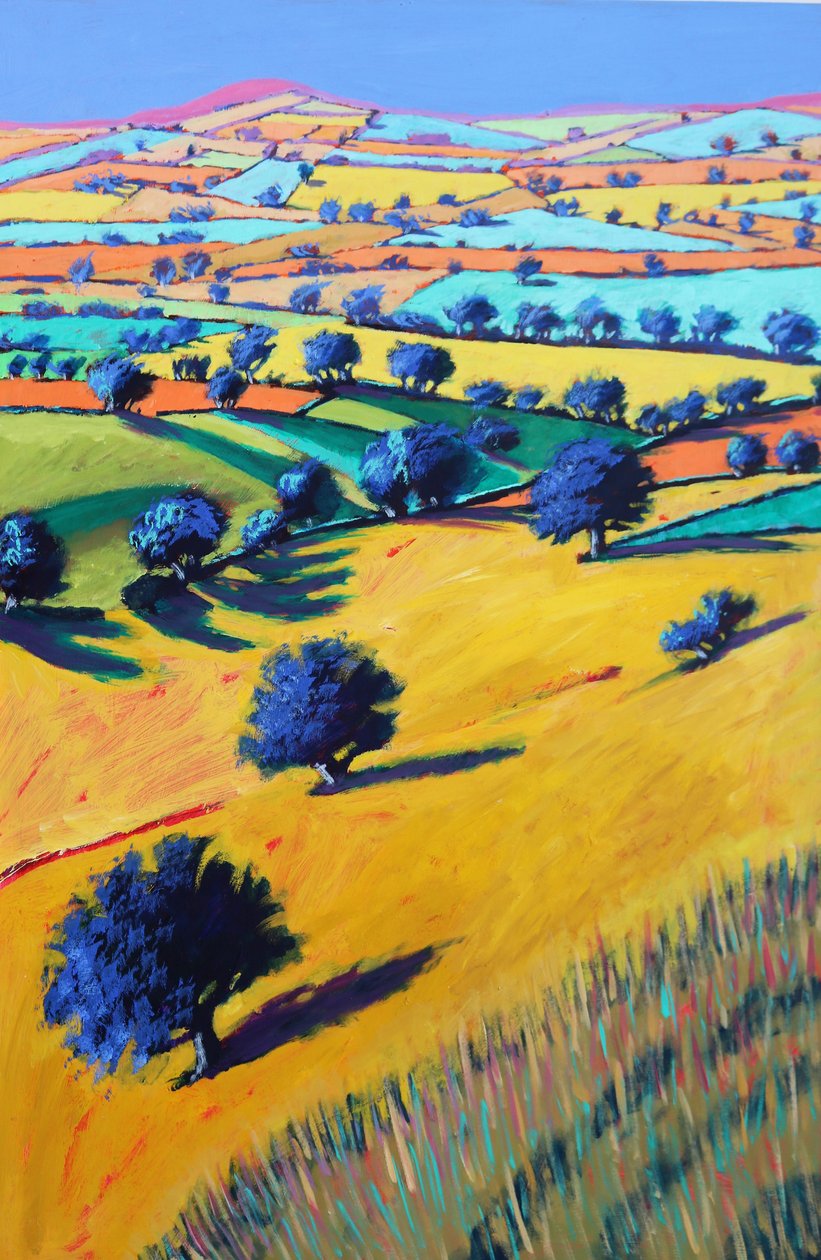 Valle del Cotswold, 2021 (acrilico su tavola) da Paul Powis