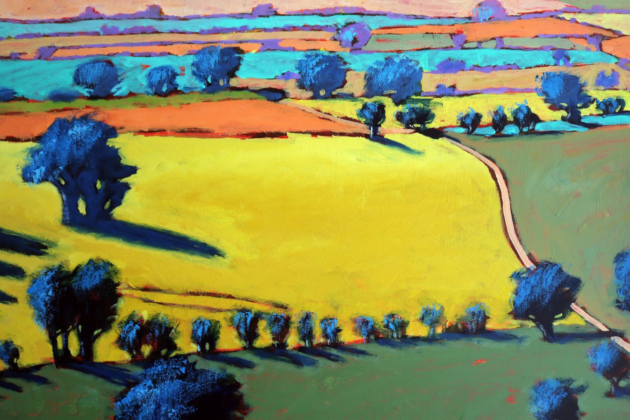 Cotswold Way (dettaglio) da Paul Powis