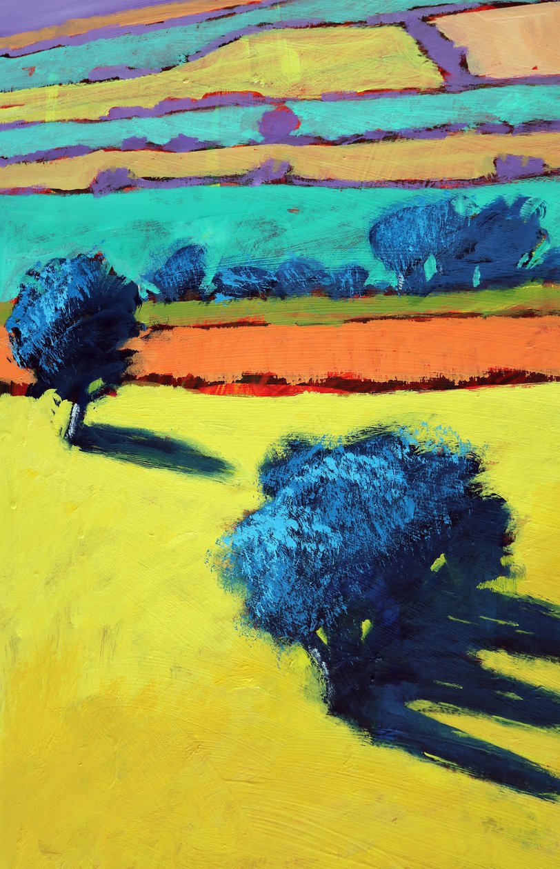 Cotswold Way (dettaglio) da Paul Powis