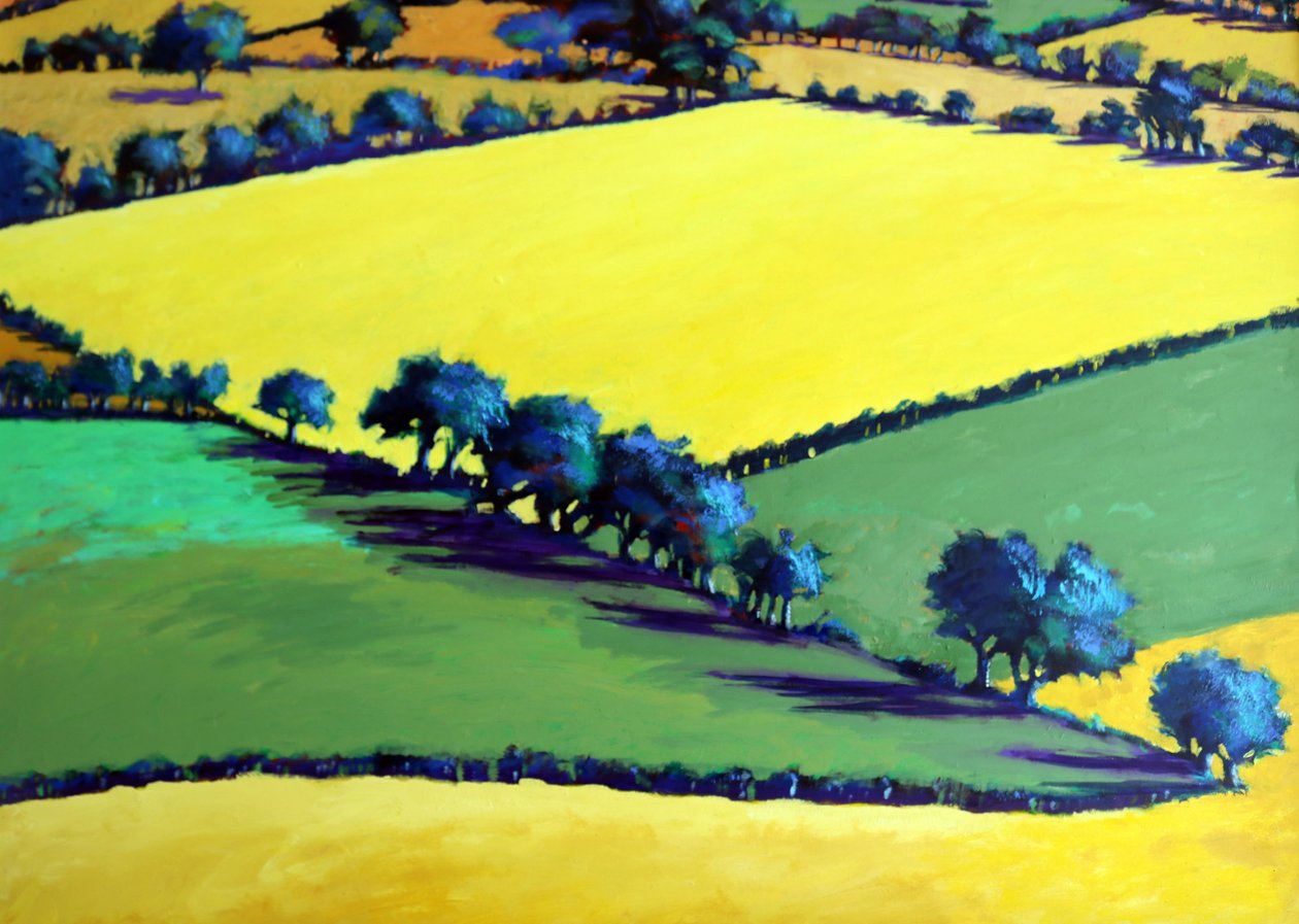 Quercia bianca da vicino da Paul Powis