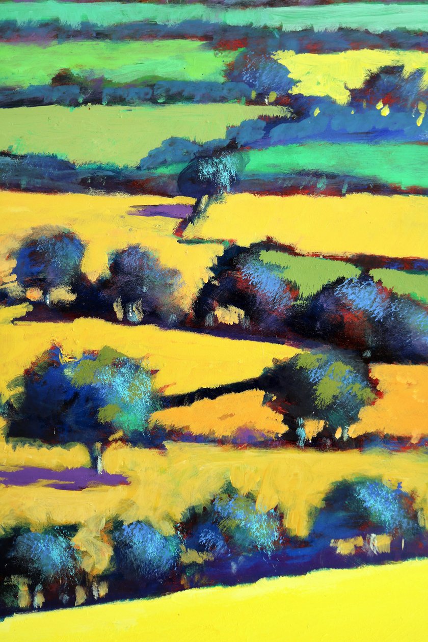Quercia bianca da vicino 6 da Paul Powis