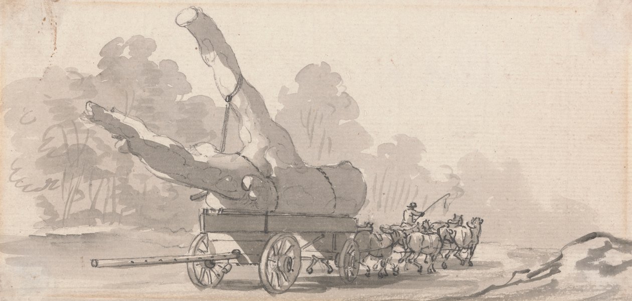 Carro che trasporta un grande tronco d