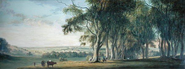 Vista di Windsor, da Snow Hill nel Great Park da Paul Sandby