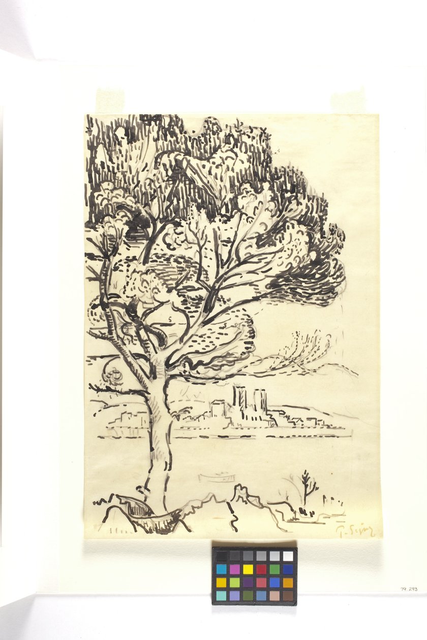 Antibes, pino ombrello in primo piano da Paul Signac