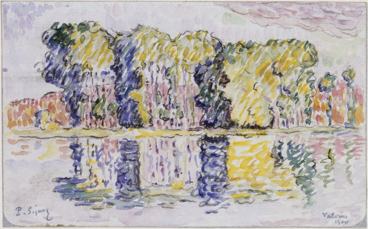 Gruppo di alberi presso l