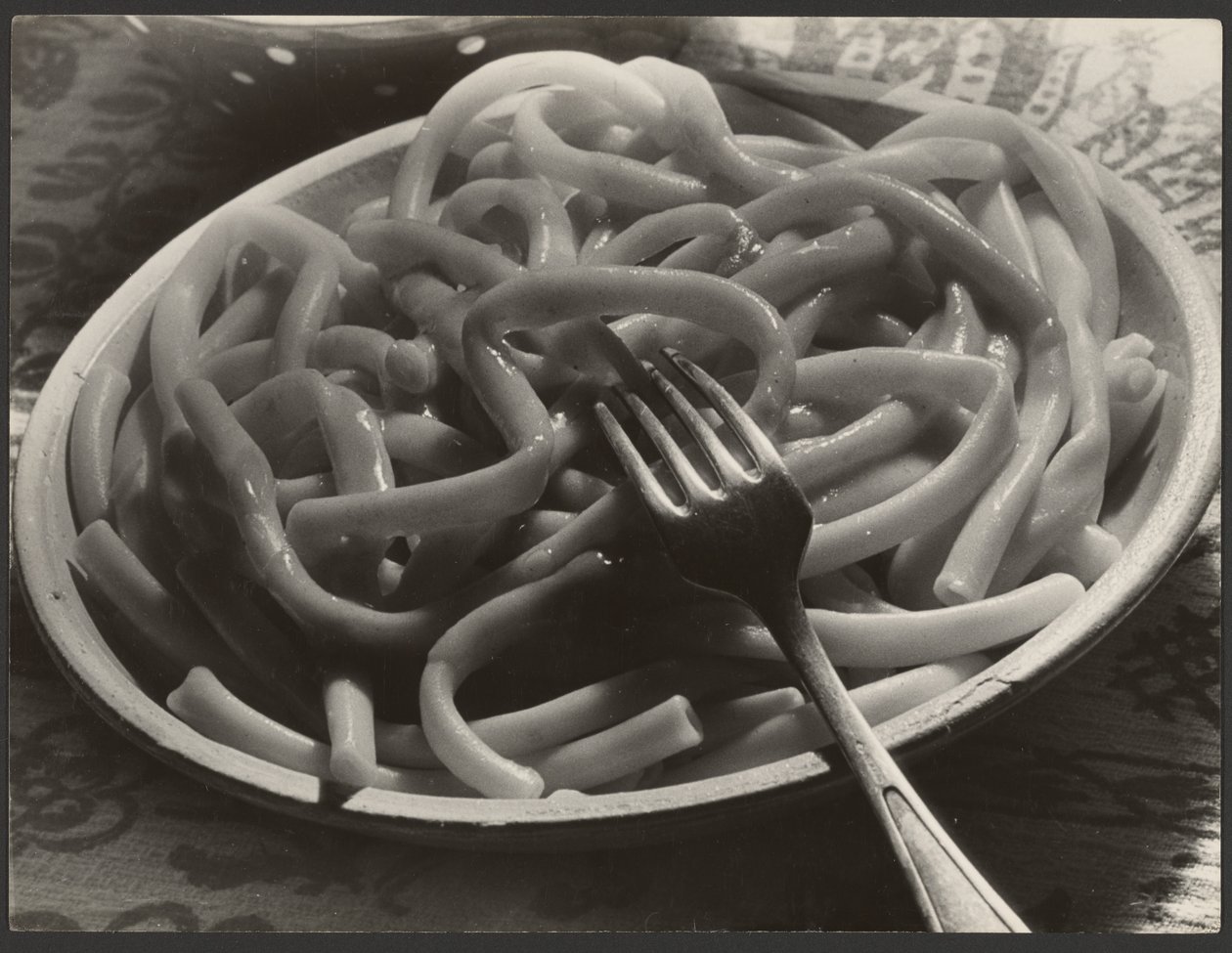 Piatto di noodles con forchetta da Paul Wolff
