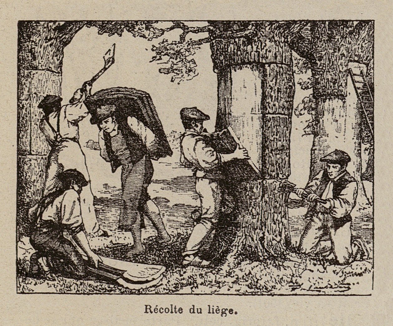  da Paul de Laubadere