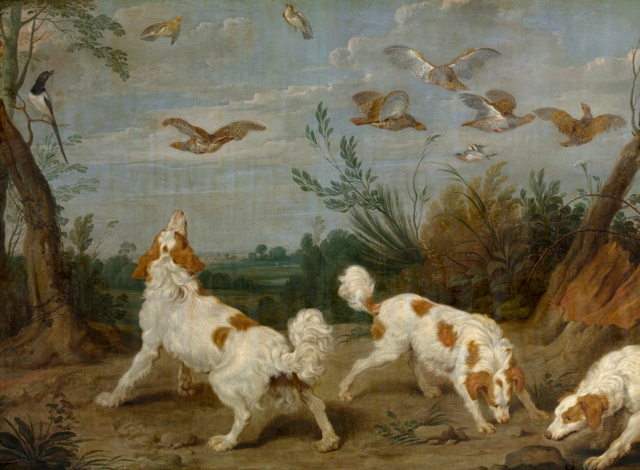Caccia alla pernice da Paul De Vos