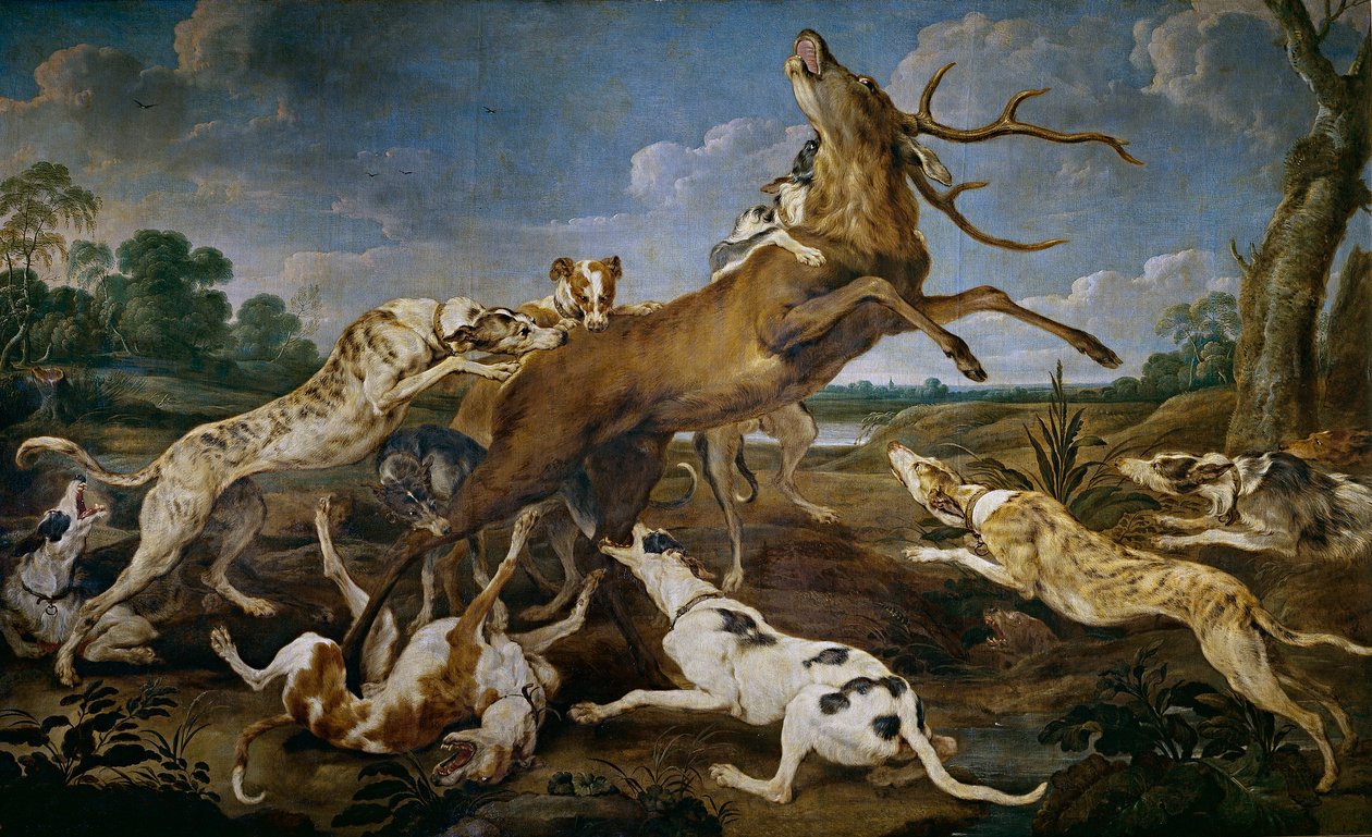 Caccia al cervo da Paul De Vos