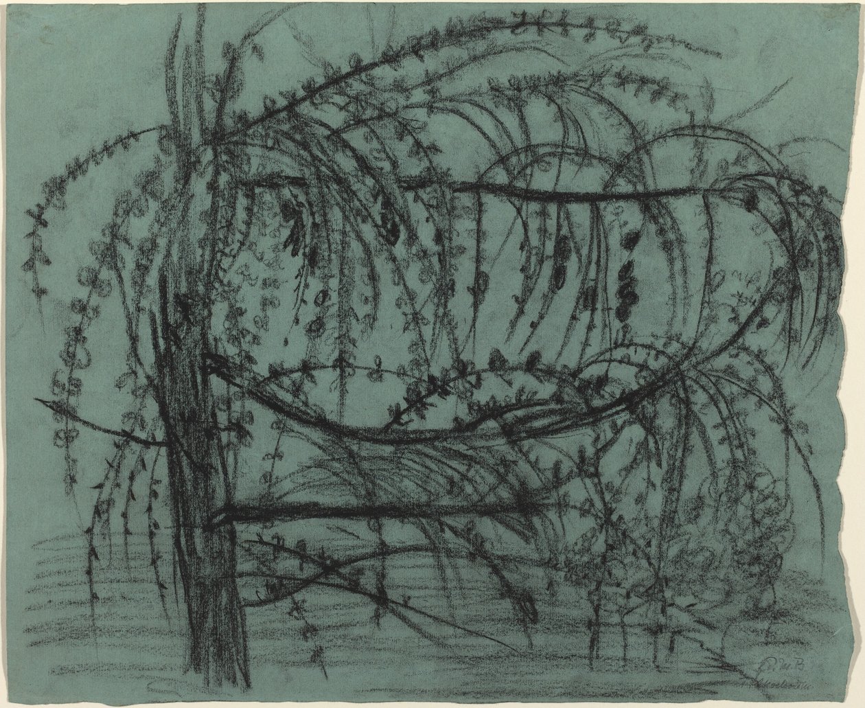 Albero da Frutto in Fiore da Paula Modersohn Becker