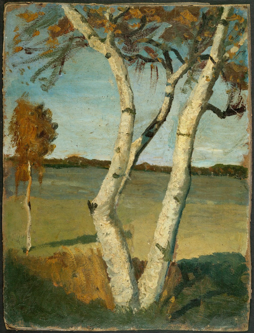 Tedesco: Betulla a due tronchi davanti a un paesaggio Betulla in un paesaggio da Paula Modersohn Becker