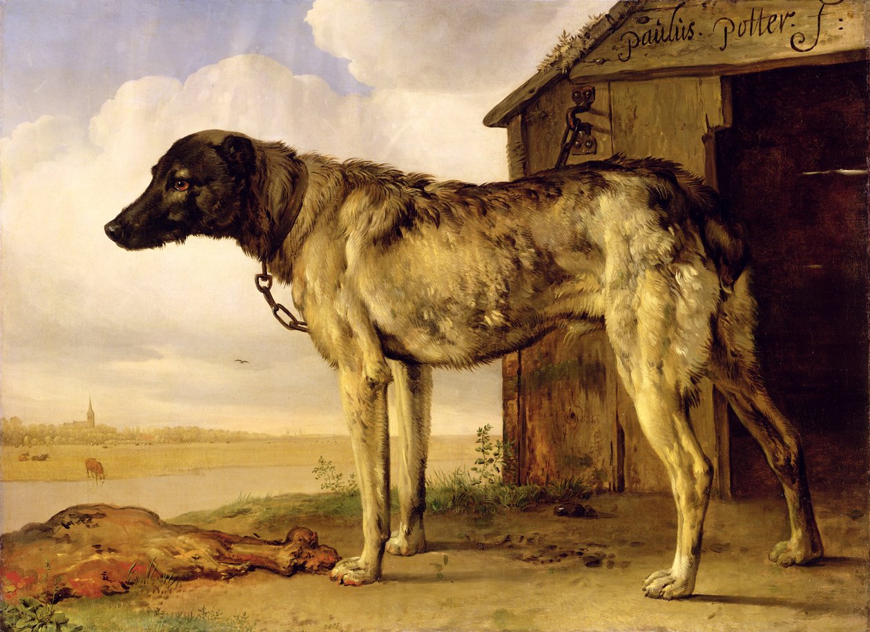 Cane su una catena, 1653-4 da Paulus Potter