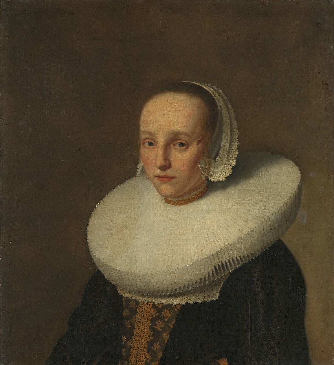 Ritratto di Anna van der Does (1609-1650) da Paulus Hennekyn