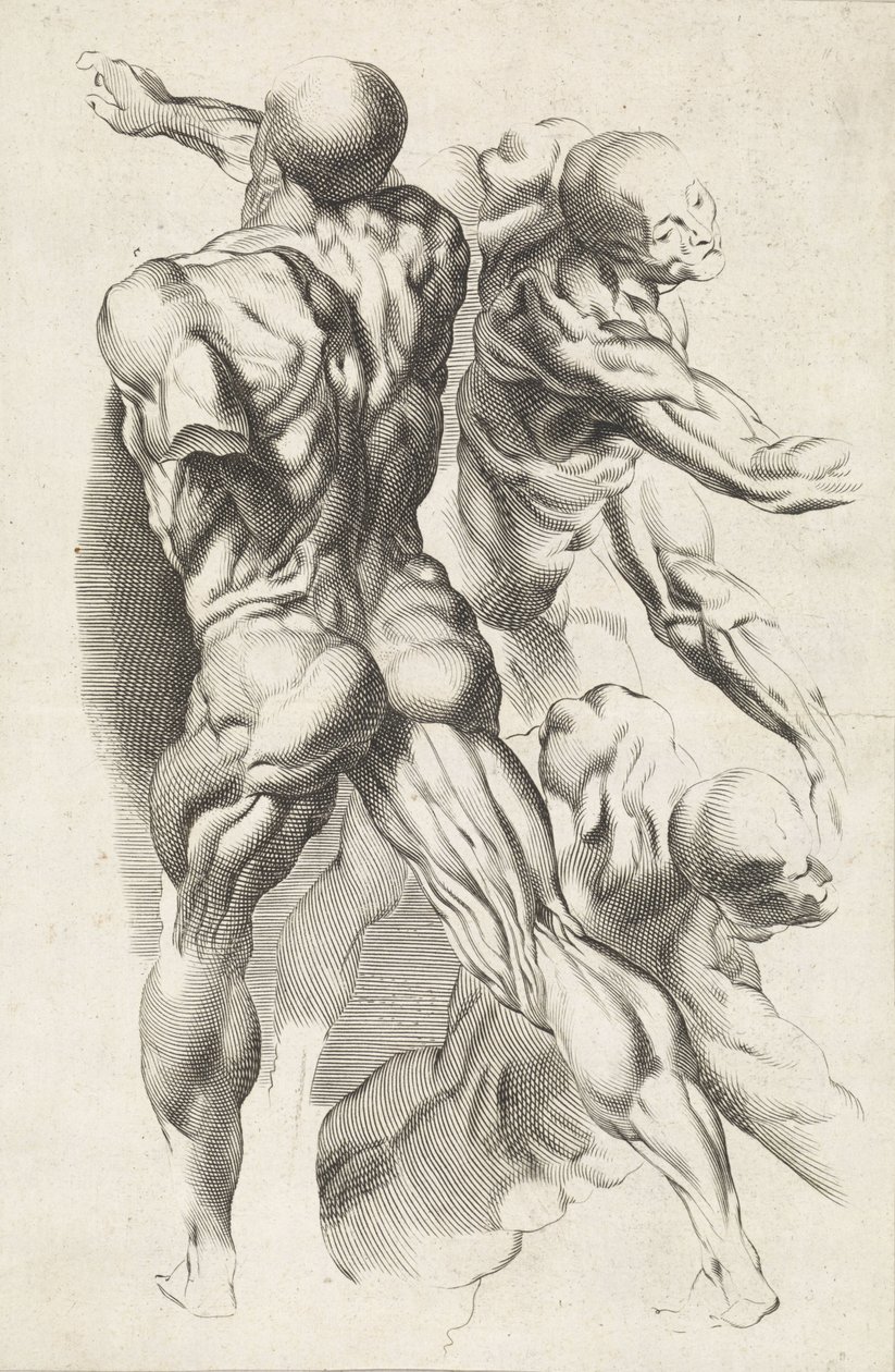 Studio anatomico di tre figure con braccia distese da Paulus Pontius