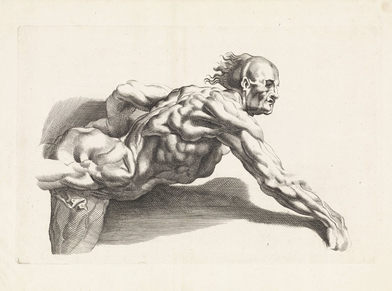 Studio anatomico di uomo chinato da Paulus Pontius