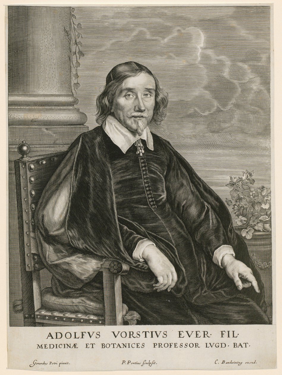 Ritratto di Adolph Vorst, professore a Leida da Paulus Pontius