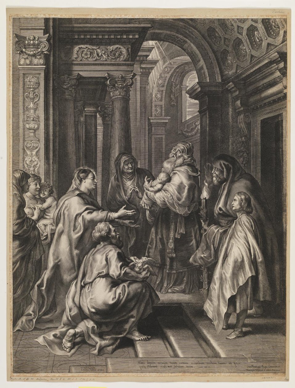 La Presentazione al Tempio da Paulus Pontius