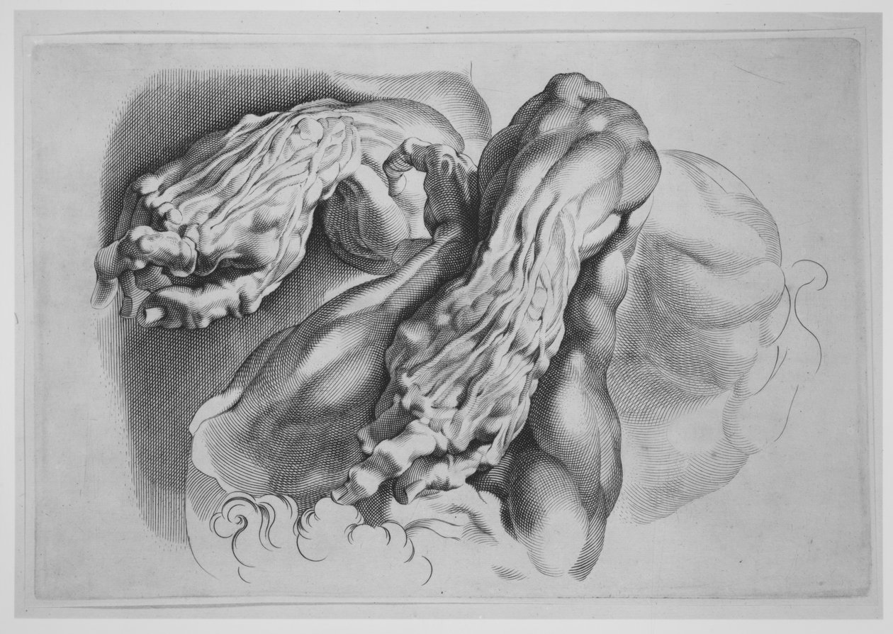 Tre studi di Écorchés, dopo il 1640 da Paulus Pontius