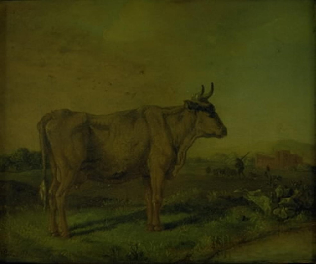 Una Mucca da Paulus Potter