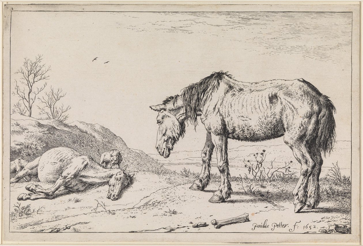 Cavalli esausti da Paulus Potter