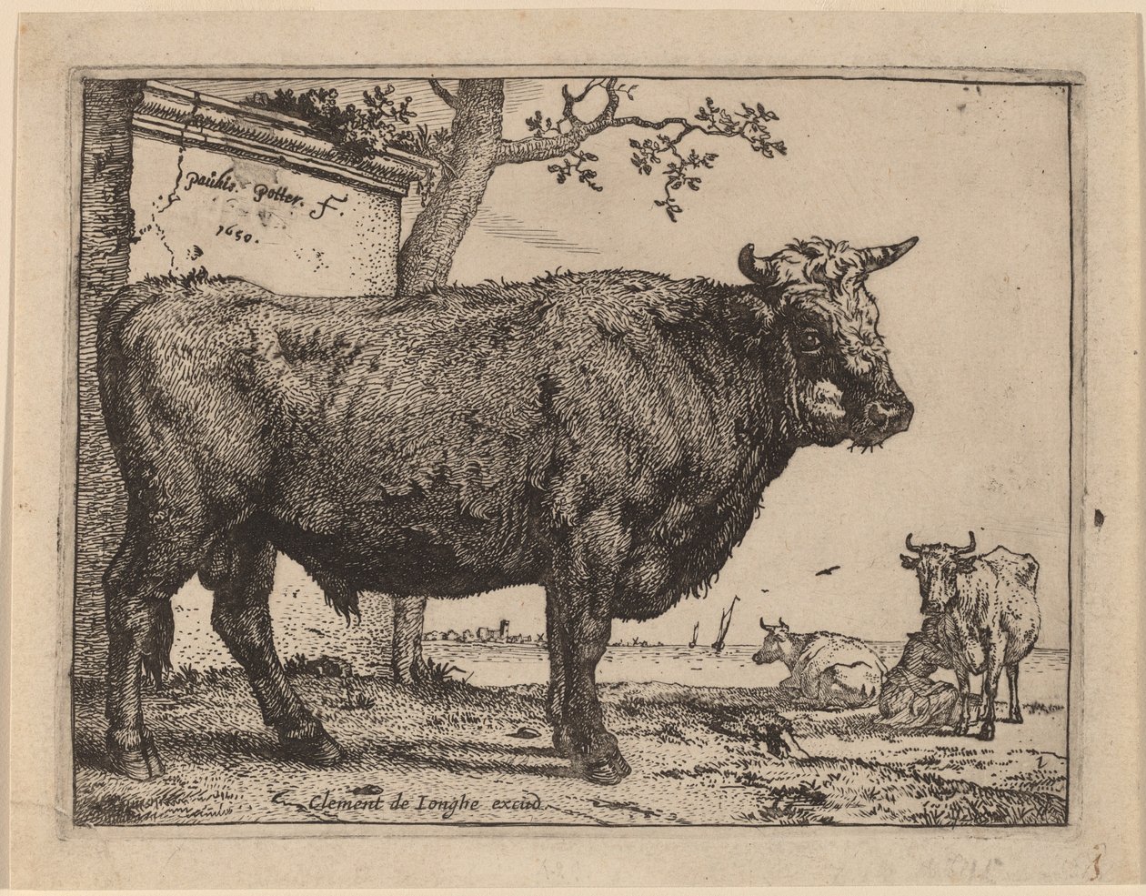 Toro da Paulus Potter