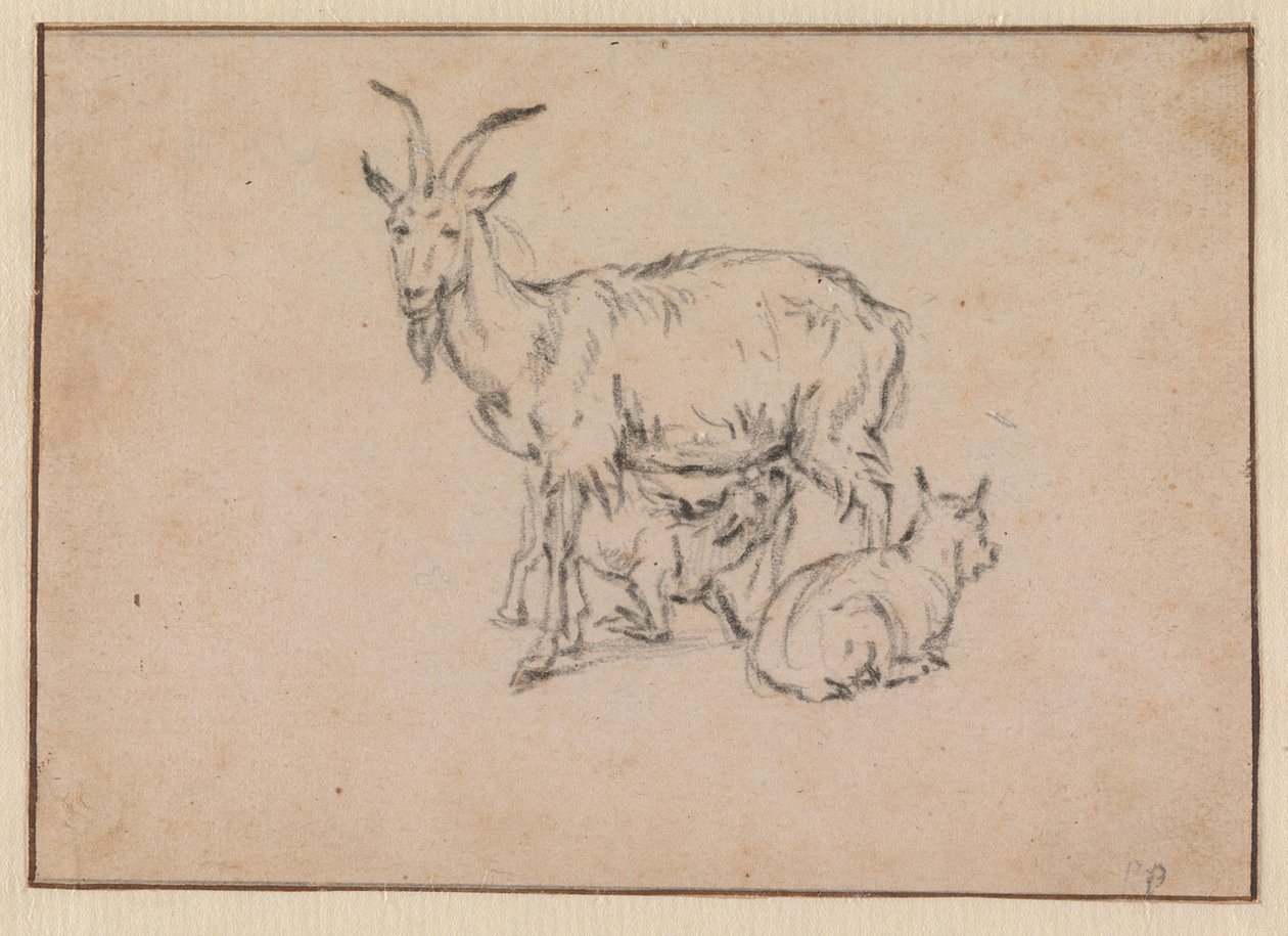 Una capra con due capretti da Paulus Potter