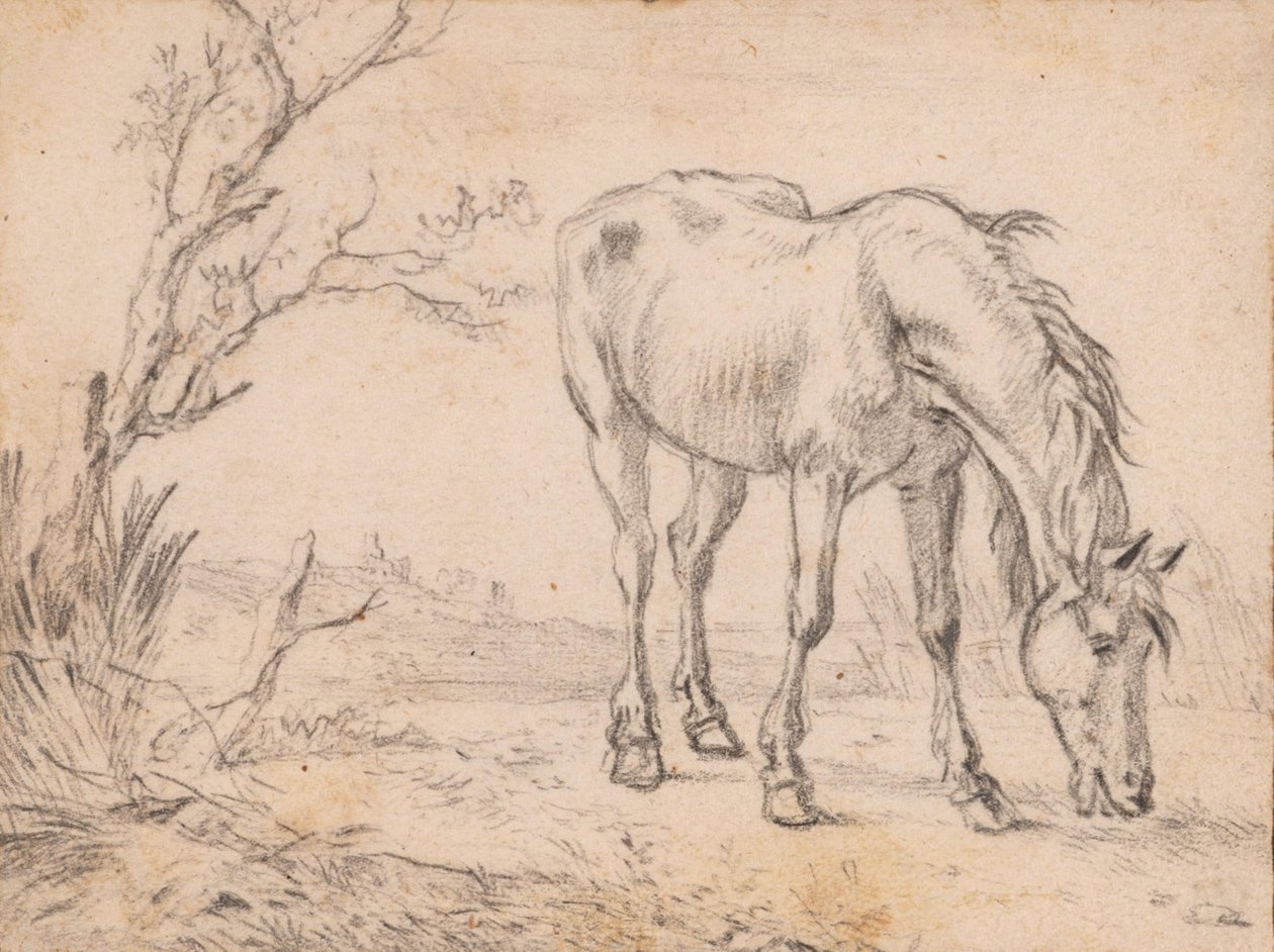 Un cavallo al pascolo da Paulus Potter