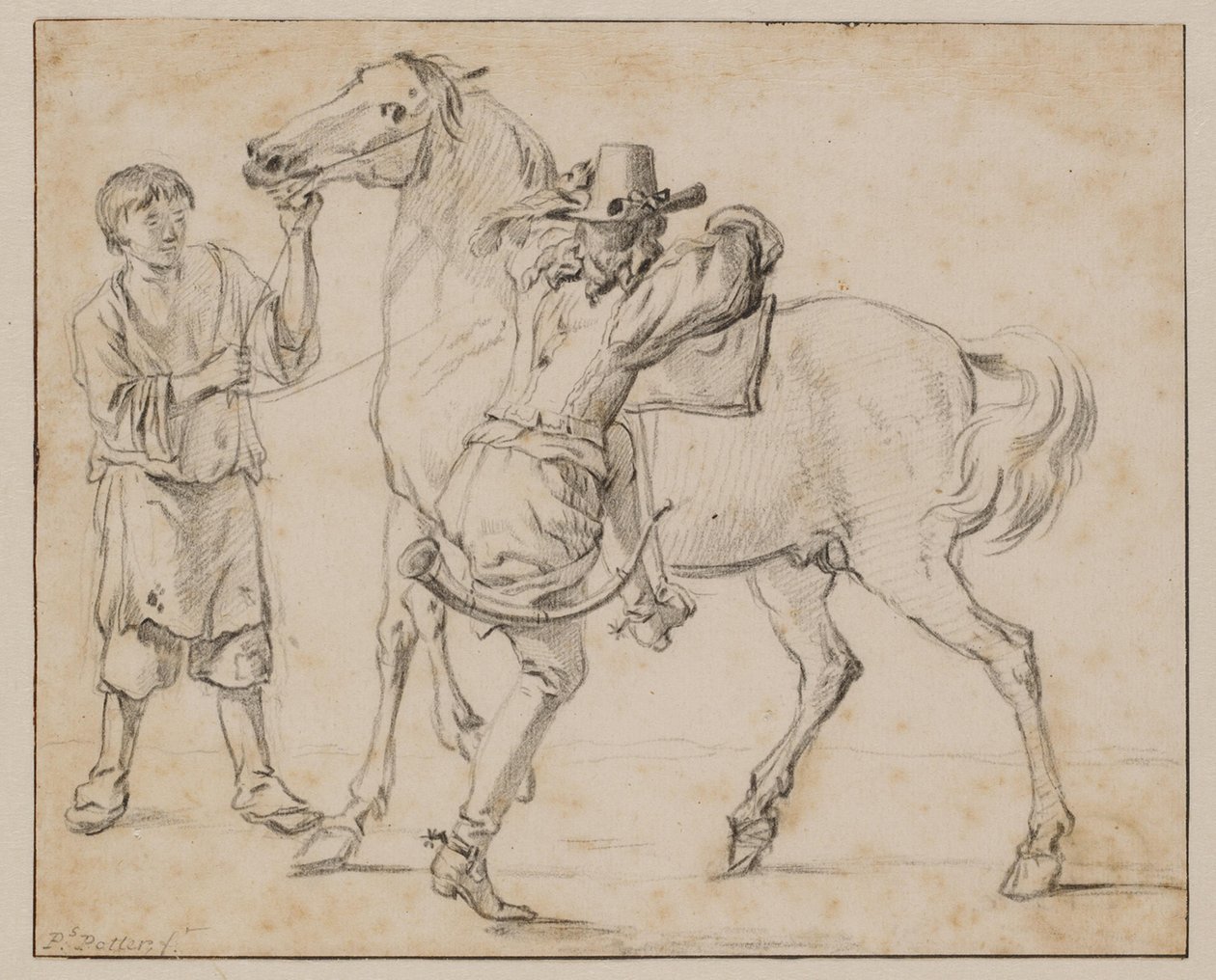 Un uomo monta il suo cavallo da Paulus Potter