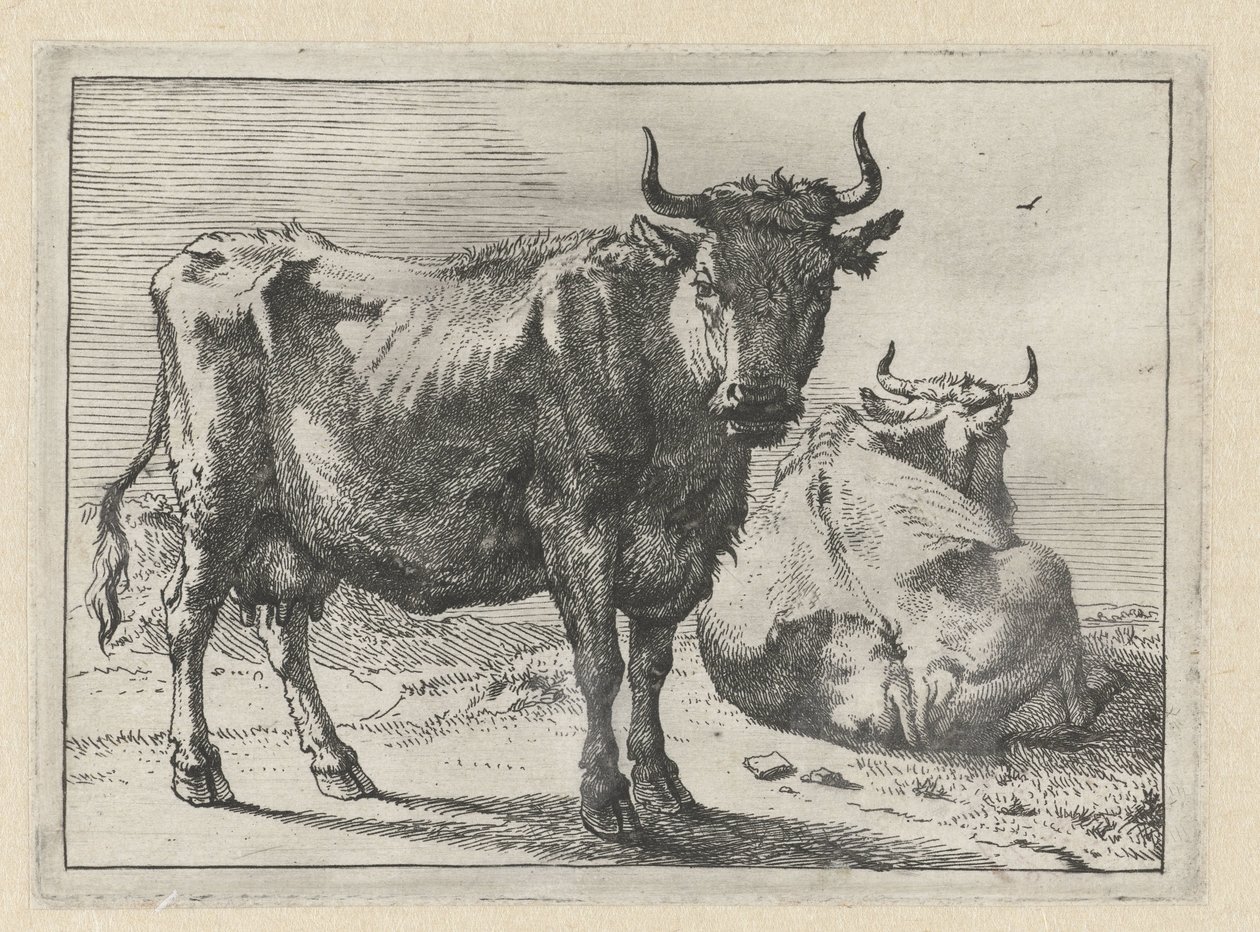 Una mucca in piedi e una sdraiata (Het Bullenboekje) da Paulus Potter