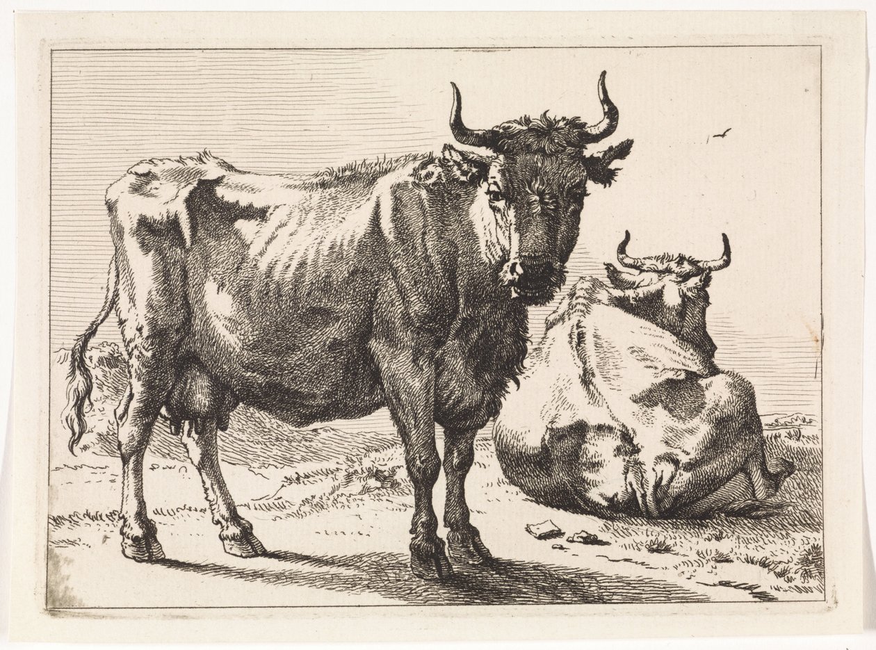 Una mucca in piedi e una sdraiata da Paulus Potter