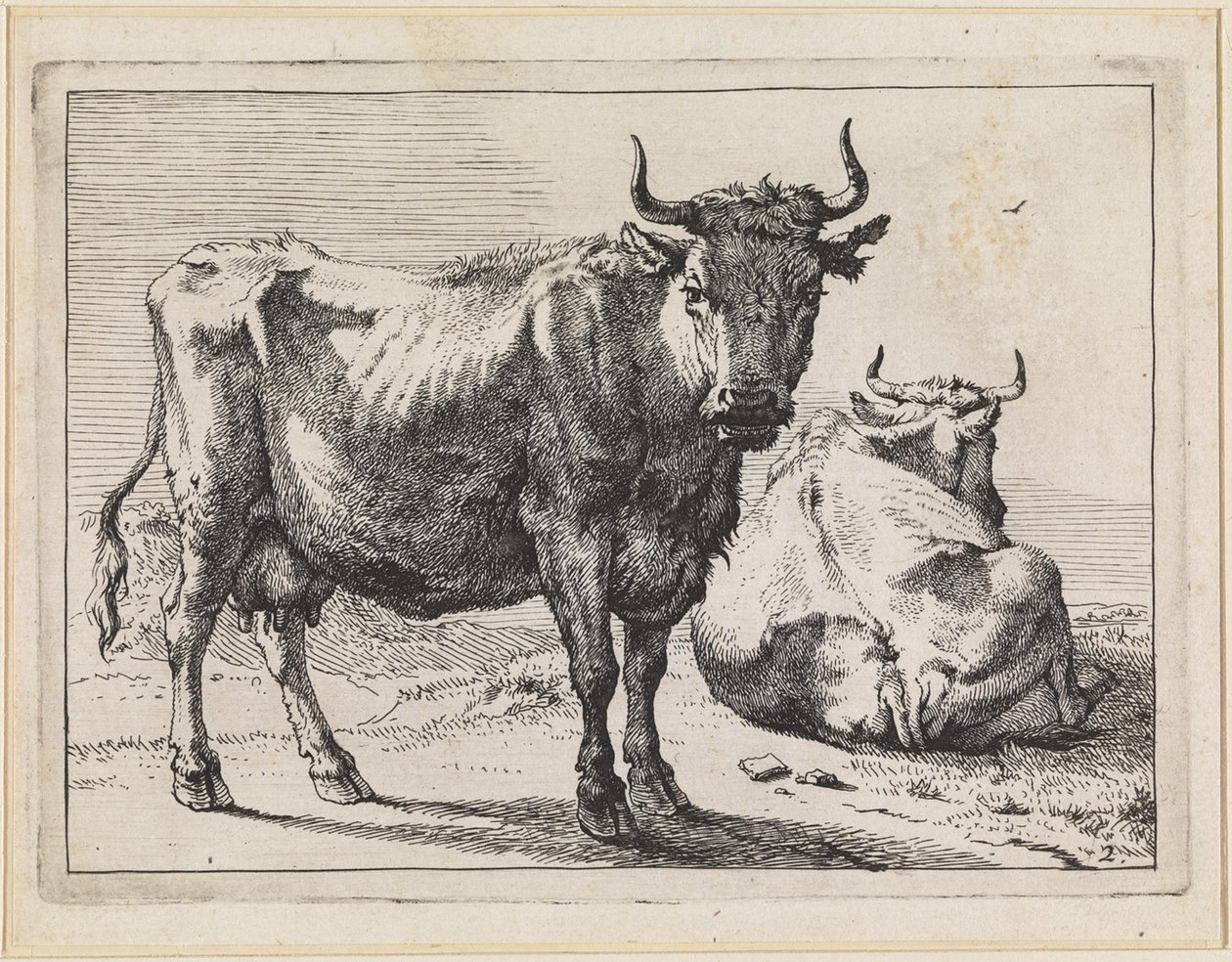 Una mucca in piedi e una sdraiata da Paulus Potter
