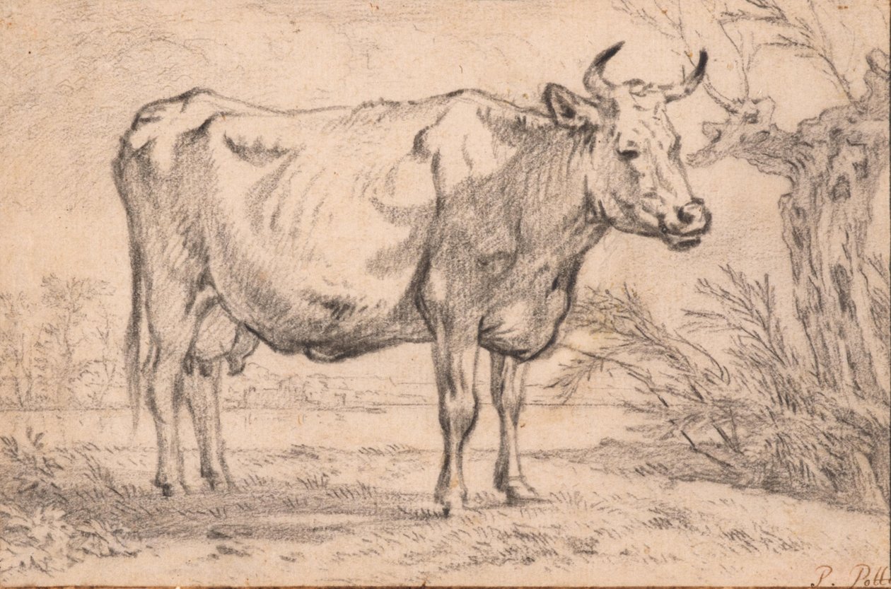 Una mucca in piedi da Paulus Potter