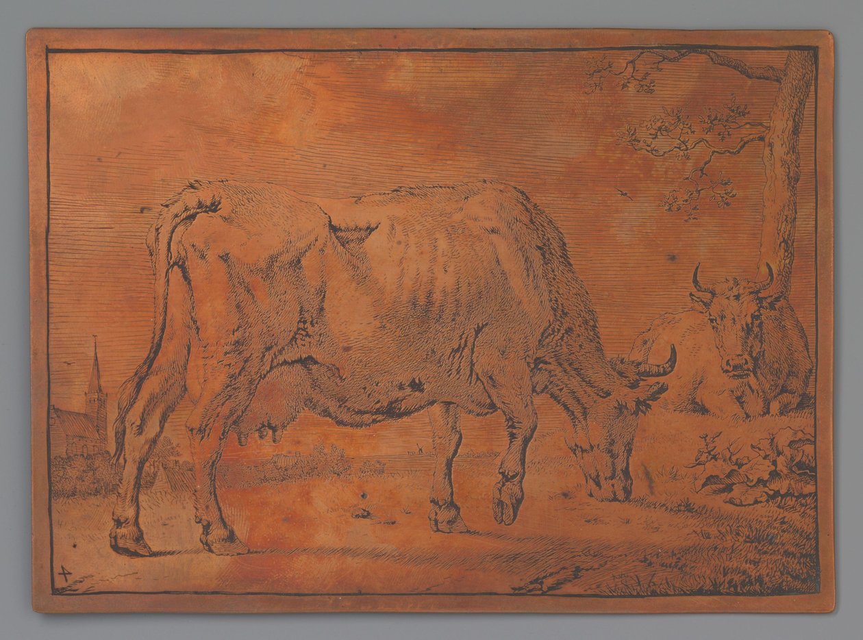 Mucca al pascolo da Paulus Potter